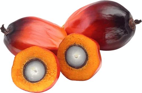Ethylhexyl Palmitate